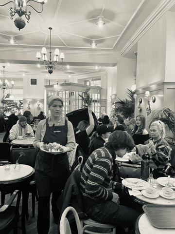 Stockholm Vetekitten