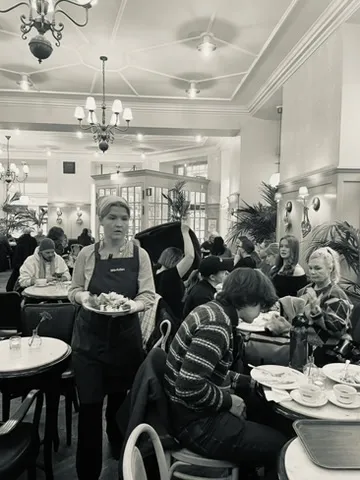 Stockholm Vetekitten